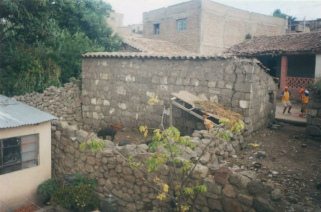Backyard with cock, hen and black pigs, and
                        a football game