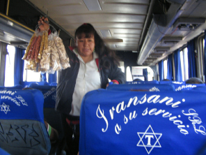 Panamericana Sur, dise�o del bus
                          "Transani" y la vendedora con snacks
                          02