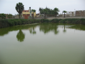 Chilca, laguna medicinal no. 3, otro
                          punto de vista