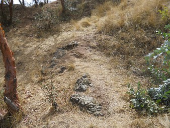 Kleiner Steinbruch
                von Sacsayhuam�n: Sektor mit Steinen und einem Baumstamm
                2
