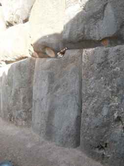 Cusco Sacsayhuam�n, gigantische Zickzackmauer, Detail 20