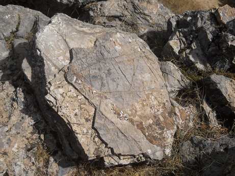Bereich des Treppensteins "Chinchana grande": Grosse Steinfl�che mit Linienmustern - Nahaufnahme