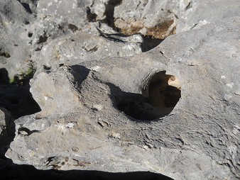Cusco Sacsayhuam�n 10, Chaosbereich, gewellter Stein mit Thron, Schnitten und L�chern - L�cher und Ritzzeichnungen, Nahaufnahme 1