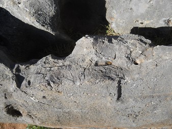 Cusco Sacsayhuam�n 10, Chaosbereich, gewellter Stein mit Thron, Schnitten und L�chern - Ritzzeichnungen