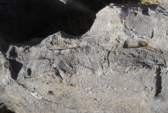 Cusco Sacsayhuam�n 10, Chaosbereich, gewellter Stein mit Thron, Schnitten und L�chern - Ritzzeichnungen - Nahaufnahme 1