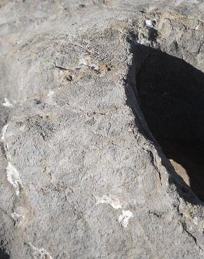 Cusco Sacsayhuam�n 10, Chaosbereich, gewellter Stein mit Thron, Schnitten und L�chern - Ritzzeichnung 4 - Nahaufnahme