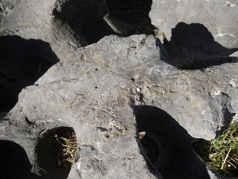 Cusco Sacsayhuam�n 10, Chaosbereich, gewellter Stein mit Thron, Schnitten und L�chern - Ritzzeichnung 5