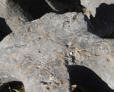 Cusco Sacsayhuam�n 10, Chaosbereich, gewellter Stein mit Thron, Schnitten und L�chern - Ritzzeichnung 5 - Nahaufnahme