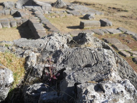 Cusco Sacsayhuam�n: Im Amphitheater, gefr�ster Stein 02