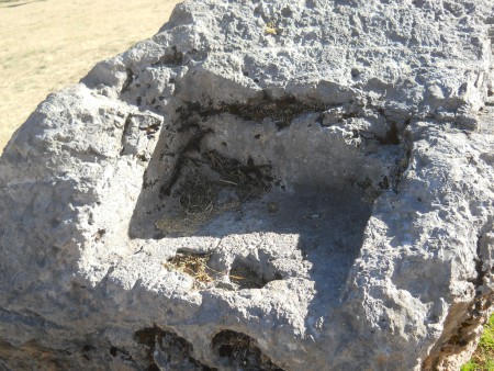 Cusco Sacsayhuam�n, Amphitheater: gefr�ster Stein mit einem Thron auf der Wiese 01, Nahaufnahme des Throns