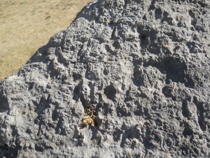 Cusco Sacsayhuam�n, Amphitheater: gefr�ster Stein mit einem Thron auf der Wiese 01, Nahaufnahmen der gefr�sten Oberfl�che 02