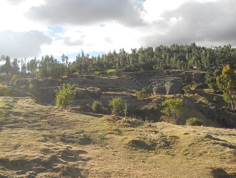 Cusco Sacsayhuam�n, noch mehr R�tsel: Wiesen und Walds 01