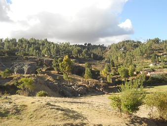 Cusco Sacsayhuam�n, noch mehr R�tsel: Wiesen und Wald 02