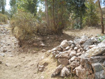 Cusco Sacsayhuam�n 13, der Spaziergang zur "Zone X" (Laco, Mondtempel), ein Gehege mit Pferden - Spazierweg 04 im Wald