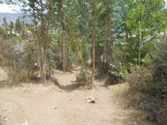 Cusco Sacsayhuam�n 13, der Spaziergang zur "Zone X" (Laco, Mondtempel), Spazierweg 06 im Wald