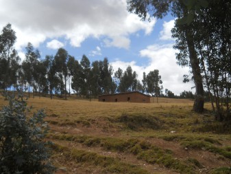 Cusco Sacsayhuam�n 13, der Spaziergang zur "Zone X" (Laco, Mondtempel): Ein H�uschen in der Wiese