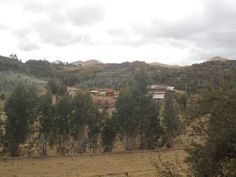 Cusco Sacsayhuam�n 13, der Spaziergang zur "Zone X" (Laco, Mondtempel), Berge mit Weiden und W�ldern - Bauernhof am Waldrand