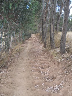 Cusco Sacsayhuam�n 13, der Spaziergang zur "Zone X" (Laco, Mondtempel), Spaziergang 13