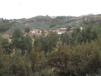 Cusco Sacsayhuam�n 13, der Spaziergang zur "Zone X" (Laco, Mondtempel): Bauernhof am Waldrand