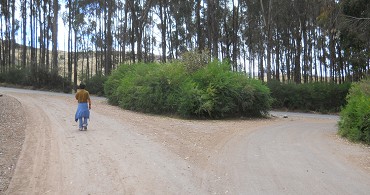 Cusco Sacsayhuam�n 13, der Spaziergang zur "Zone X" (Laco, Mondtempel), Einm�ndung, Panoramafoto