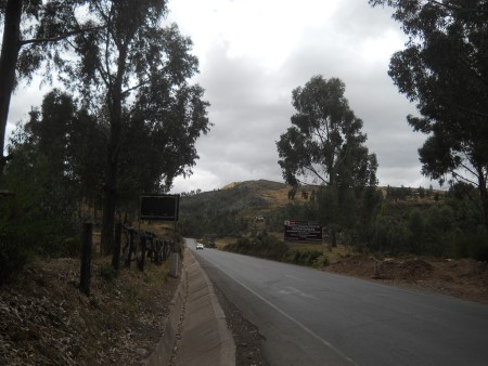 Cusco Sacsayhuam�n 13, der Spaziergang zur "Zone X" (Laco, Mondtempel), Landstrasse mit B�umen