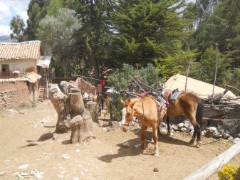 Cusco Sacsayhuam�n 13, el camino a la "Zona X", el taller de figurinas de piedras, caballos