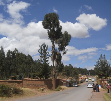 Cusco Sacsayhuam�n 13, el camino a la "Zona X", la calle con eucalipto, panorama
