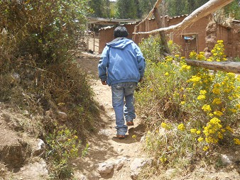 Cusco Sacsayhuam�n 13, el camino a la "Zona X" (Laco, Templo de la Luna), camino 03 con gu�a