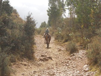 Cusco Sacsayhuam�n 13, el camino a la "Zona X" (Laco, Templo de la Luna), camino 08 en el bosque