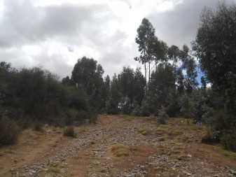 Cusco Sacsayhuam�n 13, el camino a la "Zona X" (Laco, Templo de la Luna), camino 09, ahora el camino es ancho