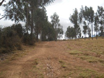 Cusco Sacsayhuam�n 13, el camino a la "Zona X" (Laco, Templo de la Luna), camino 10 ancho