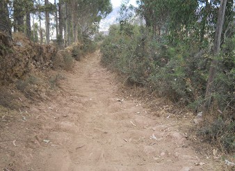 Cusco Sacsayhuam�n 13, el camino a la "Zona X" (Laco, Templo de la Luna), camino 11 ancho