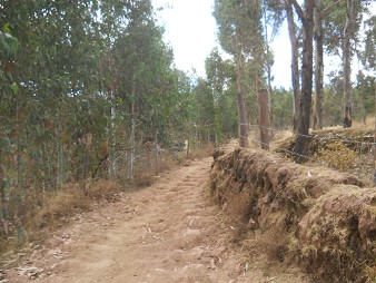 Cusco Sacsayhuam�n 13, el camino a la "Zona X" (Laco, Templo de la Luna), camino 12 ancho