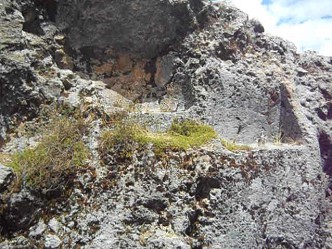 Cusco Sacsayhuam�n, Zone X (Laq'o, Laco, Mondtempel): Throne in einem schwarzen Felsen 03