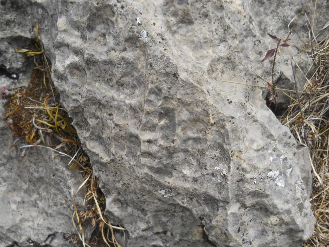 Cusco Sacsayhuam�n, Zone X (Laq'o, Laco, Mondtempel), weisser, gefr�ster Stein, Nahaufnahme 06