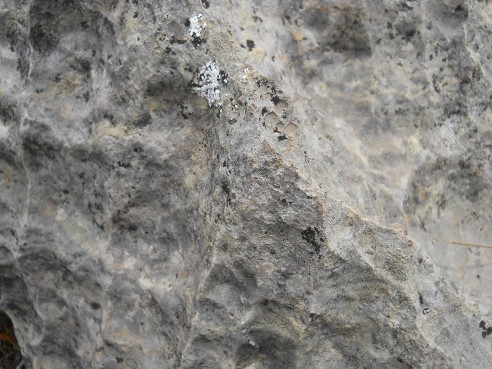 Cusco Sacsayhuam�n, Zone X (Laq'o, Laco, Mondtempel), weisser, gefr�ster Stein, Nahaufnahme 07