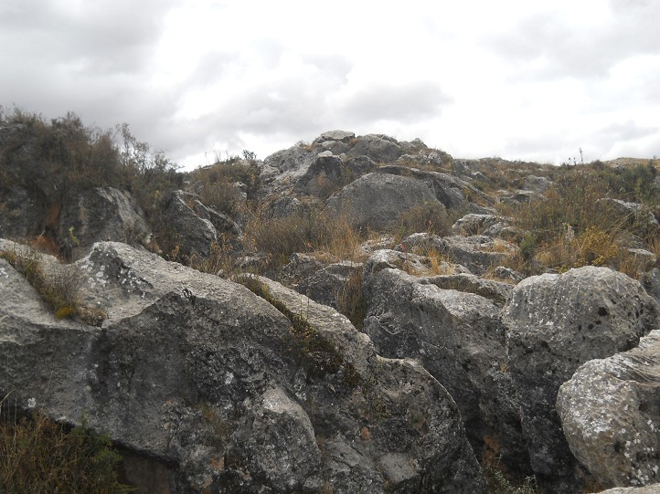 Cusco Sacsayhuam�n, Zone X (Laq'o / Laco): Schwarzer, langer, gefr�ster Stein 02