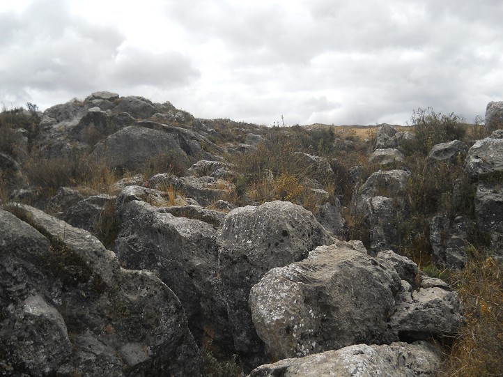 Cusco Sacsayhuam�n, Zone X (Laq'o / Laco): Schwarzer, langer, gefr�ster Stein 03