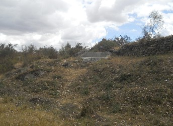 Cusco Sacsayhuam�n, Zone X (Laq'o / Laco): R�ckweg durch die Wiese, weisser, gigantischer Thron