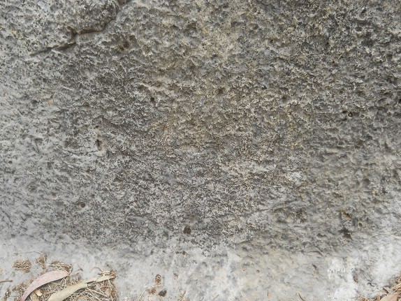 Cusco Sacsayhuam�n, Zone X (Laq'o / Laco): R�ckweg durch die Wiese, weisser, gigantischer Thron, Nahaufnahme der Oberfl�che 01