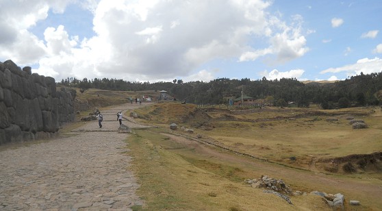 Cusco Sacsayhuam�n 16: Der Weg zur�ck nach Cusco, Strasse mit Wiese und Wald 01