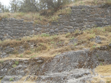 Cusco Sacsayhuam�n 16: Der Weg zur�ck nach Cusco, gigantische Mauer mit Blumenmuster 03