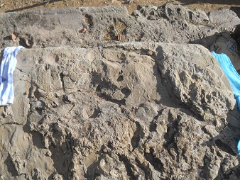 Cusco Sacsayhuam�n 16: Der Weg zur�ck nach Cusco, Stein mit Einritzungen 02