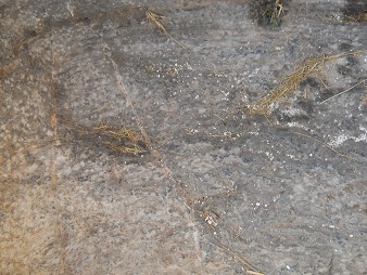 Cusco Sacsayhuam�n 16: Der Weg zur�ck nach Cusco, gigantischer, weisser Stein mit Schnitten und Nischen - Nahaufnahme 01