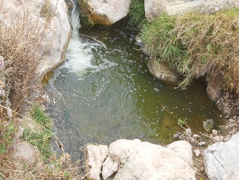 Cusco Sacsayhuam�n 16: the way back
              to Cusco, polluted creek
