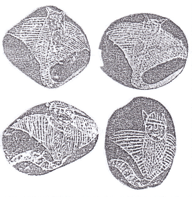 Piedras
                    grabadas mostrando murci�lagos gigantes (01)
