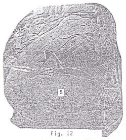 Piedra grabada con una hembra de un
                estegosaurio