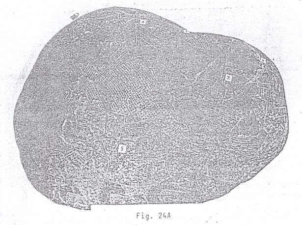 Fig.
                                24A: Paralizaci�n de un dinosaurio por
                                punci�n