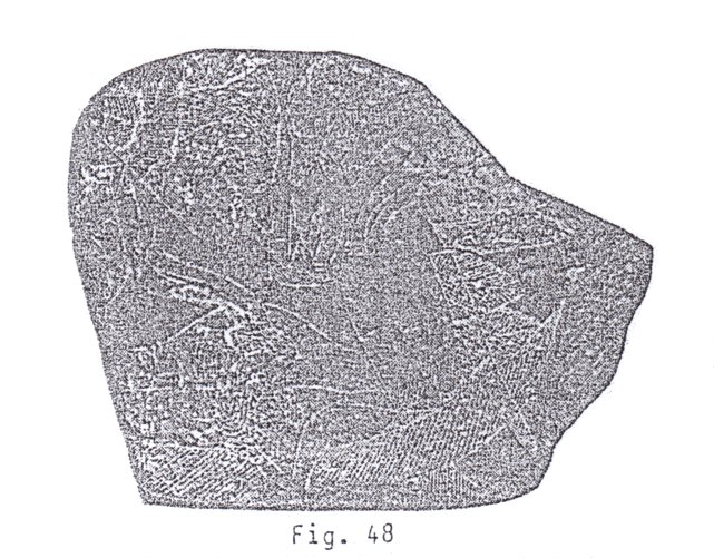 Fig.
                              48: El donante del coraz�n