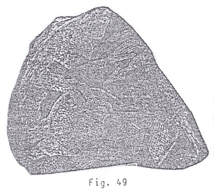 Fig.
                              49: El donante del coraz�n est� muerto